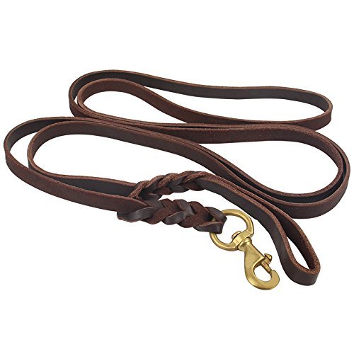 dog-leather-lease-rope.jpg